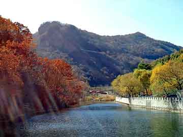 大三巴一肖二码最准，杀神邪尊